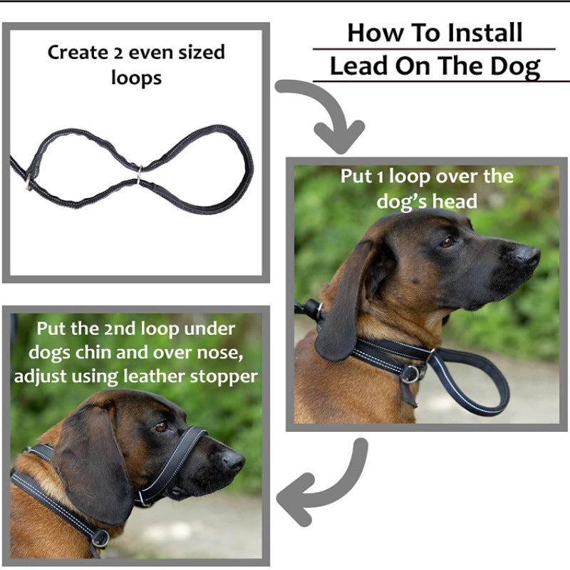 Flat Figure of 8 Dog Lead with Padding – Stop Pulling & Take Back Control