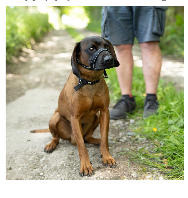 Flat Figure of 8 Dog Lead with Padding – Stop Pulling & Take Back Control