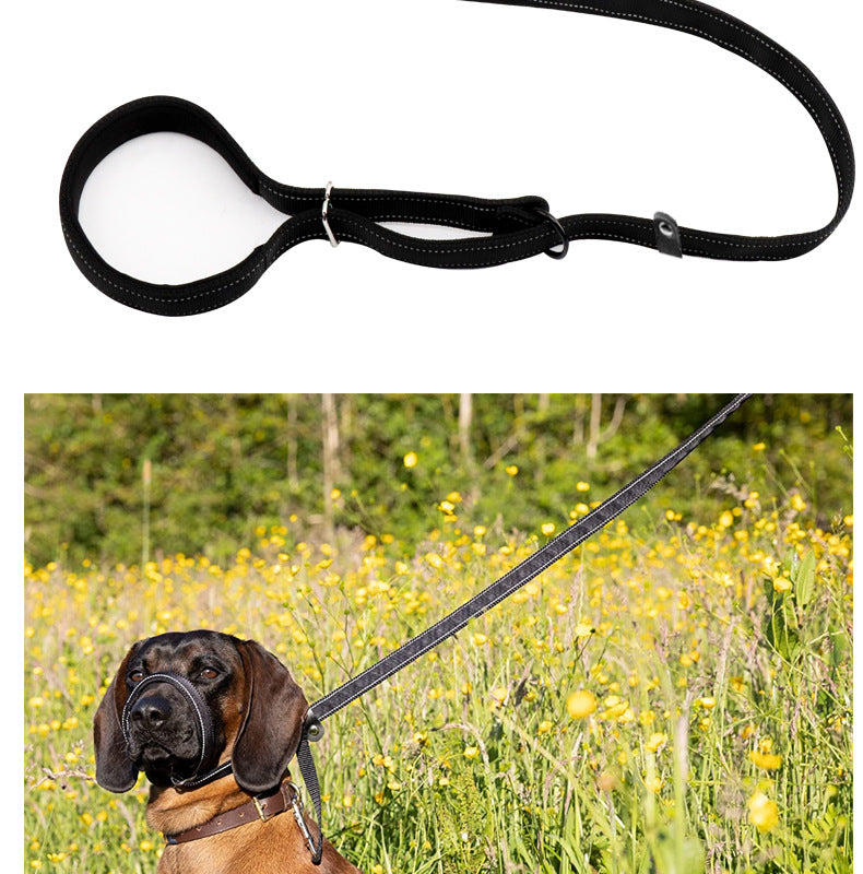 Flat Figure of 8 Dog Lead with Padding – Stop Pulling & Take Back Control
