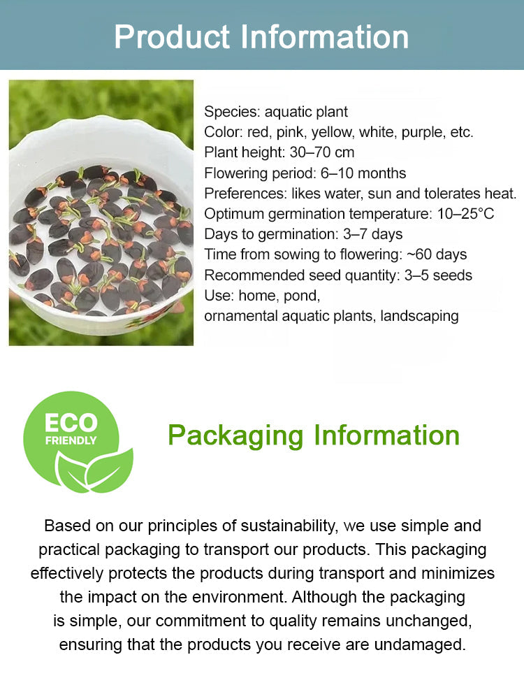 🔥【Beginner-friendly】 Hydroponic lotus seeds, Effortless Elegance: Water-Only Lotus Blooms!